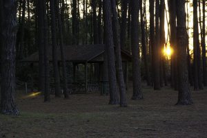 virginie beach park