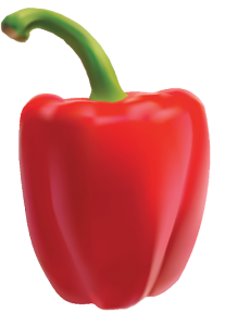 red bell pepper