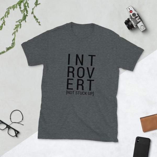 Introvert Short-Sleeve Unisex T-Shirt - Image 3