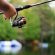 How To Get A North Carolina Fishing License