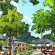 Improvements Coming to Lynnhaven Parkway Near Lynnhaven Mall