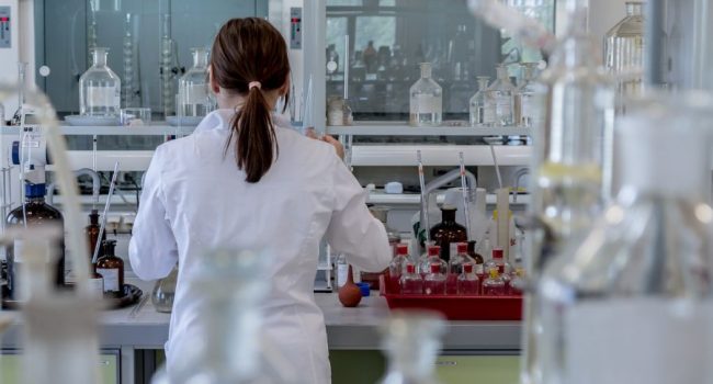 lab lab